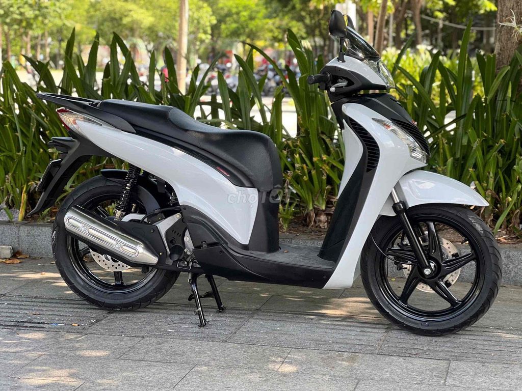SH 2010 - ảnh 3