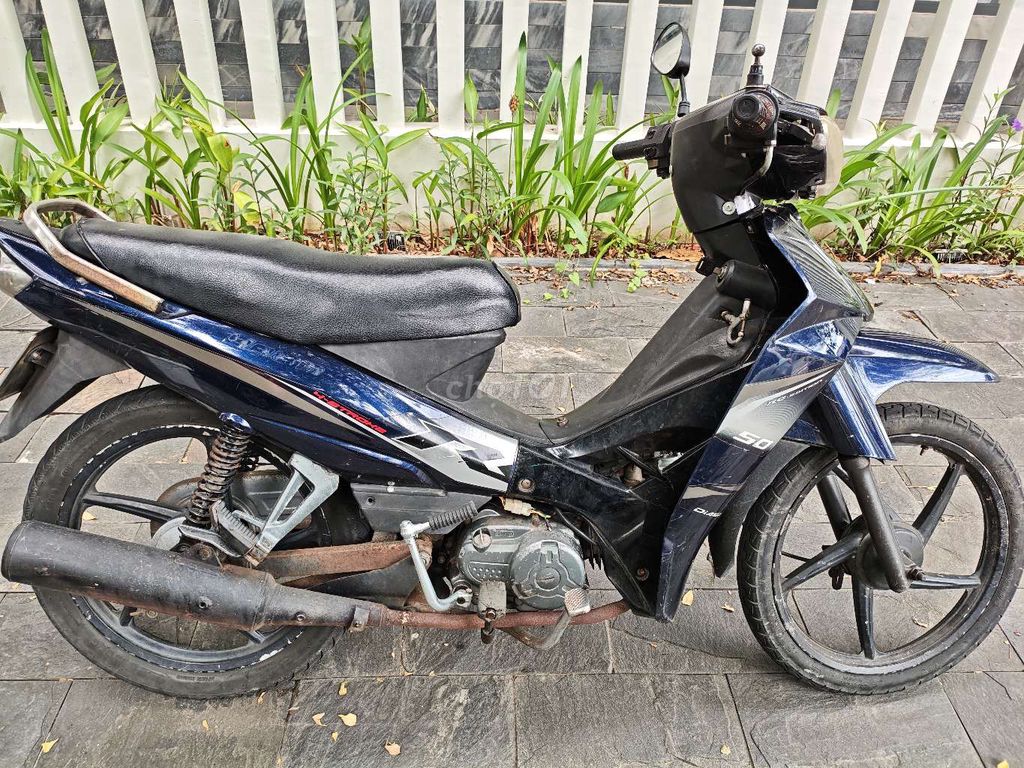 Thanh l 2009 - ảnh 1