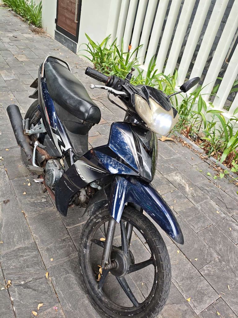 Thanh l 2009 - ảnh 2