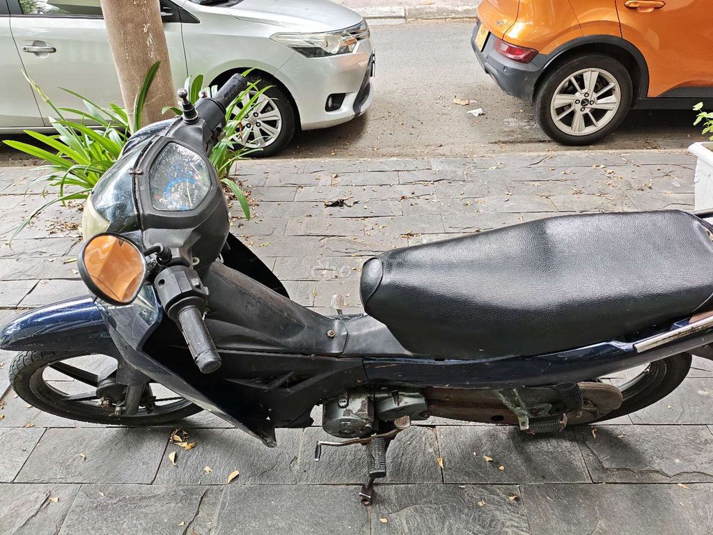 Thanh l 2009 - ảnh 4