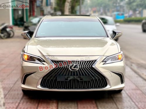 Lexus ES 250 2019 - ảnh 1