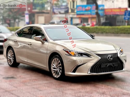 Lexus ES 250 2019 - ảnh 2