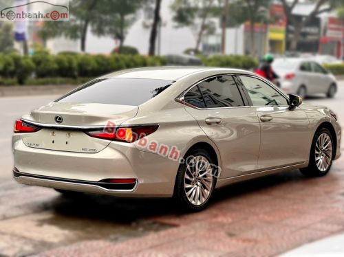 Lexus ES 250 2019 - ảnh 4