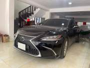 Lexus ES 250 2020 - ảnh 1