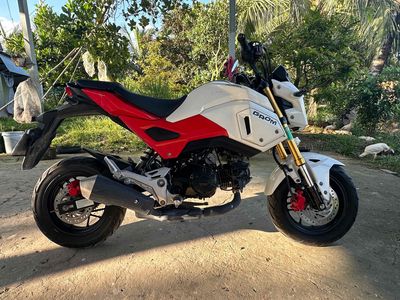 Honda MSX 2021 - ảnh 1