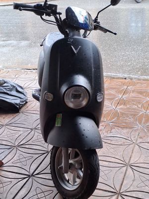 Xe m 2025 - ảnh 1