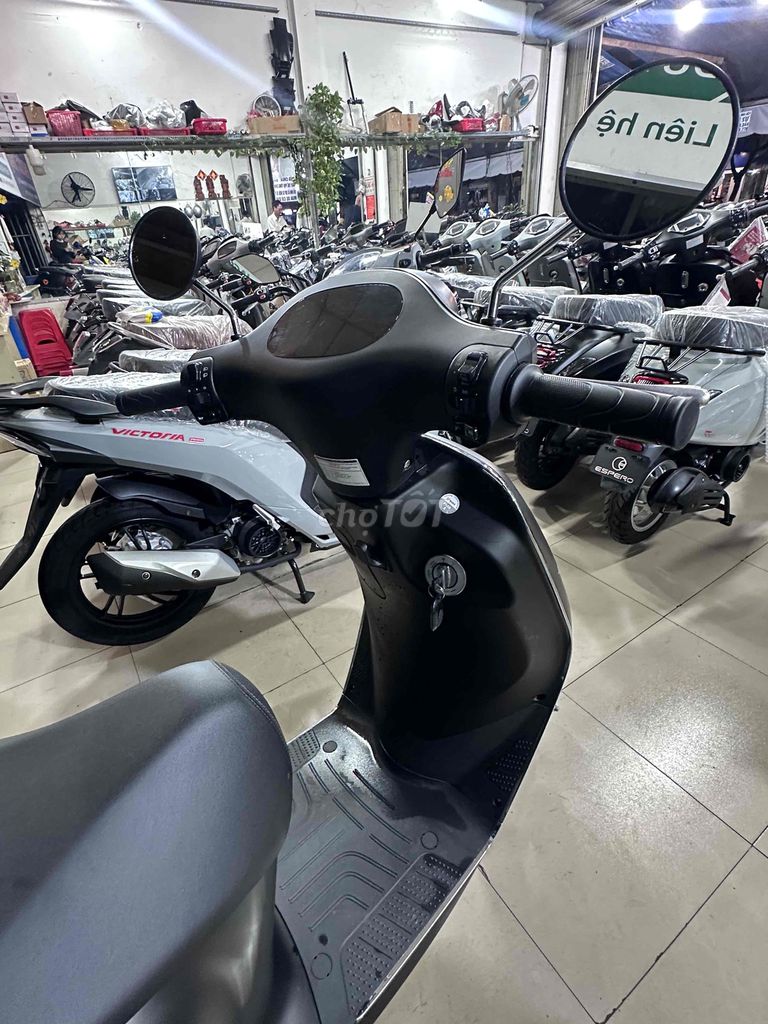 Xe M 2025 - ảnh 2