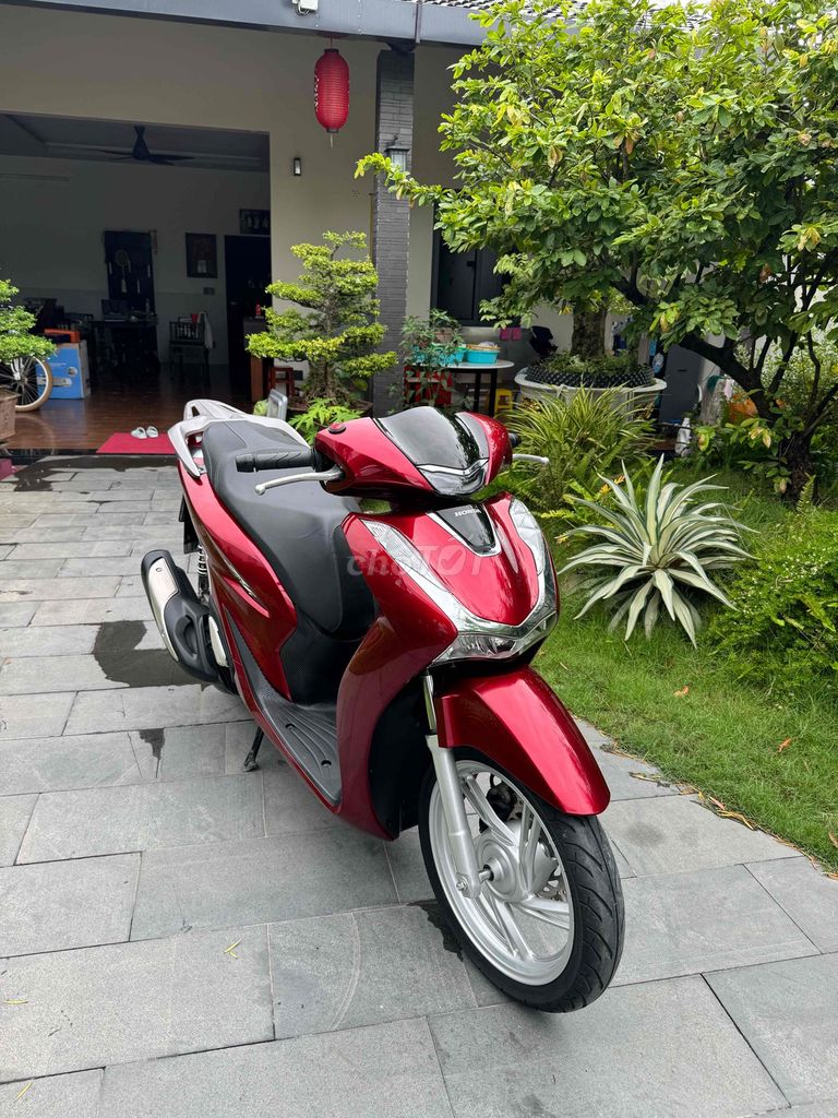 SH 2024 - ảnh 2
