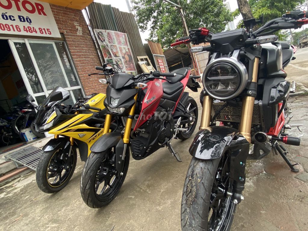 TFX 2018 - ảnh 1
