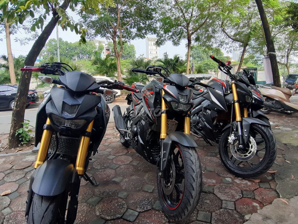 TFX 2018 - ảnh 4