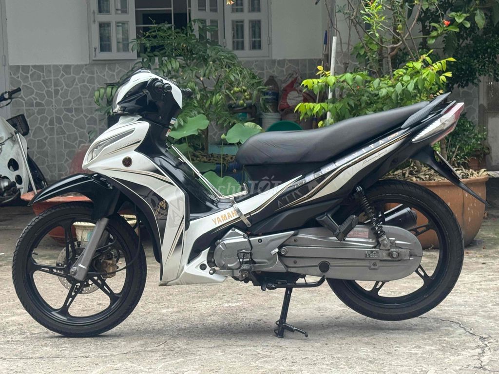 Yamaha - ảnh 5