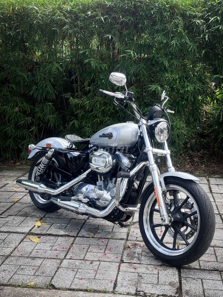Harley 2020 - ảnh 1