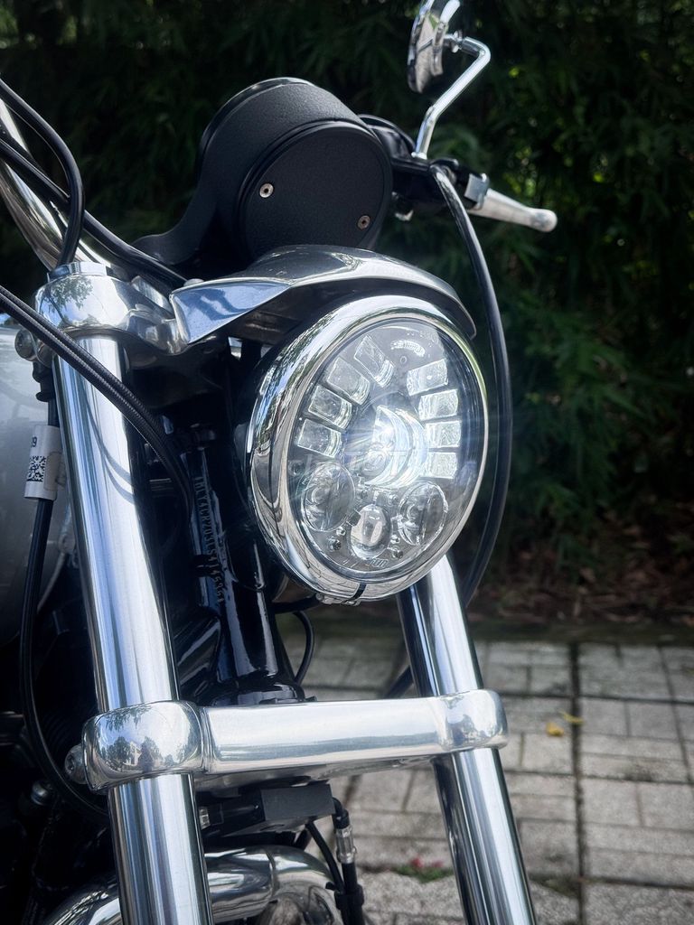 Harley 2020 - ảnh 2