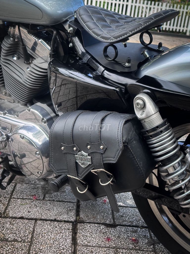Harley 2020 - ảnh 5