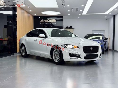 Jaguar XF 2.0 AT 2016 - ảnh 1