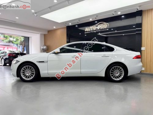 Jaguar XF 2.0 AT 2016 - ảnh 2