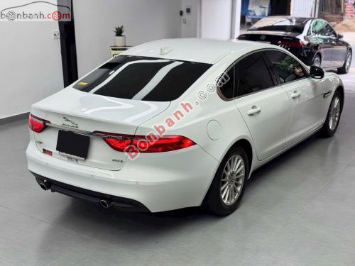 Jaguar XF 2.0 AT 2016 - ảnh 3