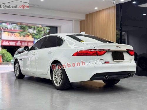 Jaguar XF 2.0 AT 2016 - ảnh 4