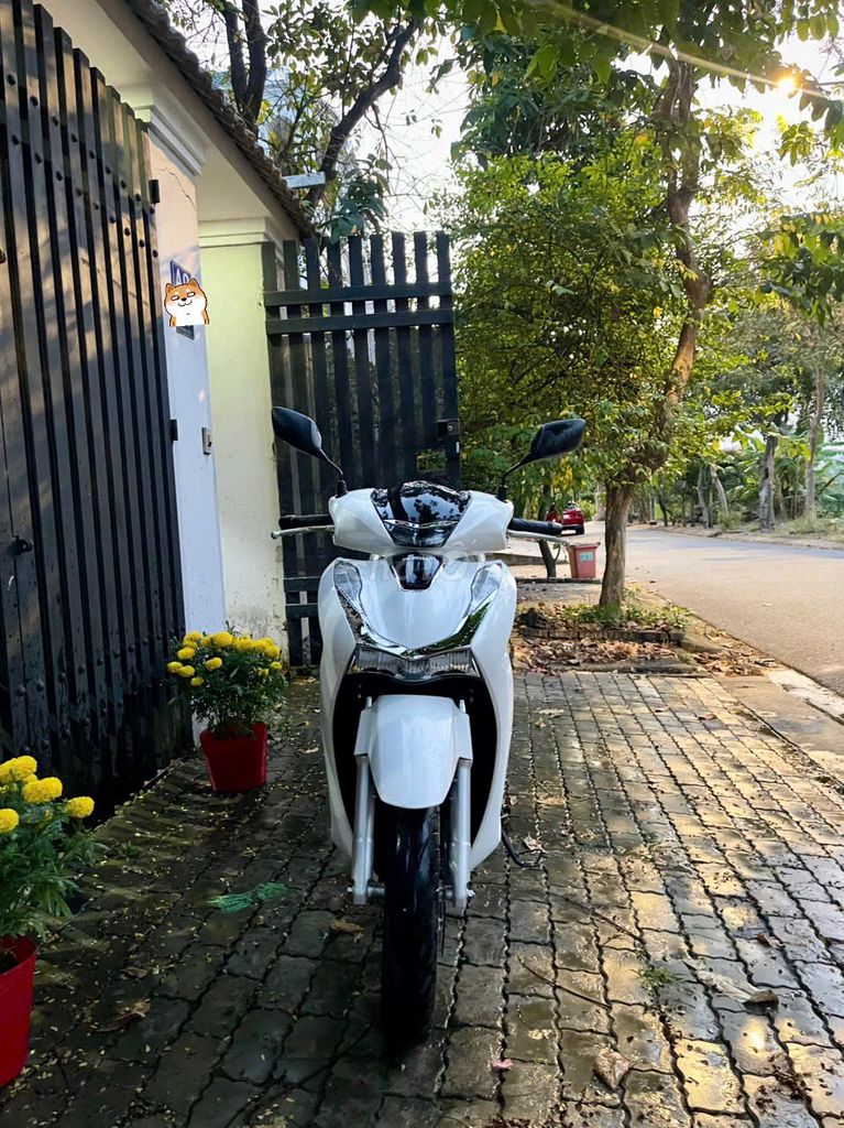Honda SH 2025 - ảnh 1