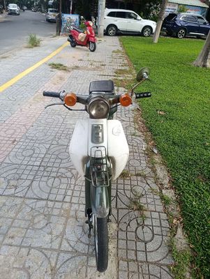 Honda Super 1981 - ảnh 1