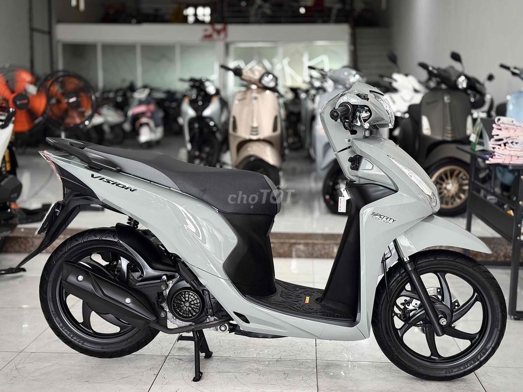 Vision 2020 - ảnh 2