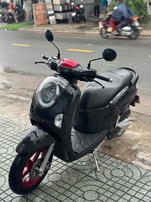 Honda Scoopy 2025 - ảnh 1