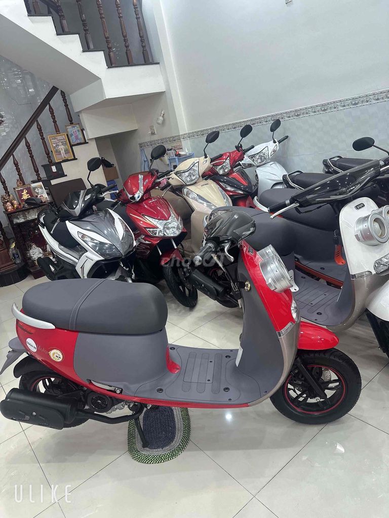 Xe tay 2026 - ảnh 5