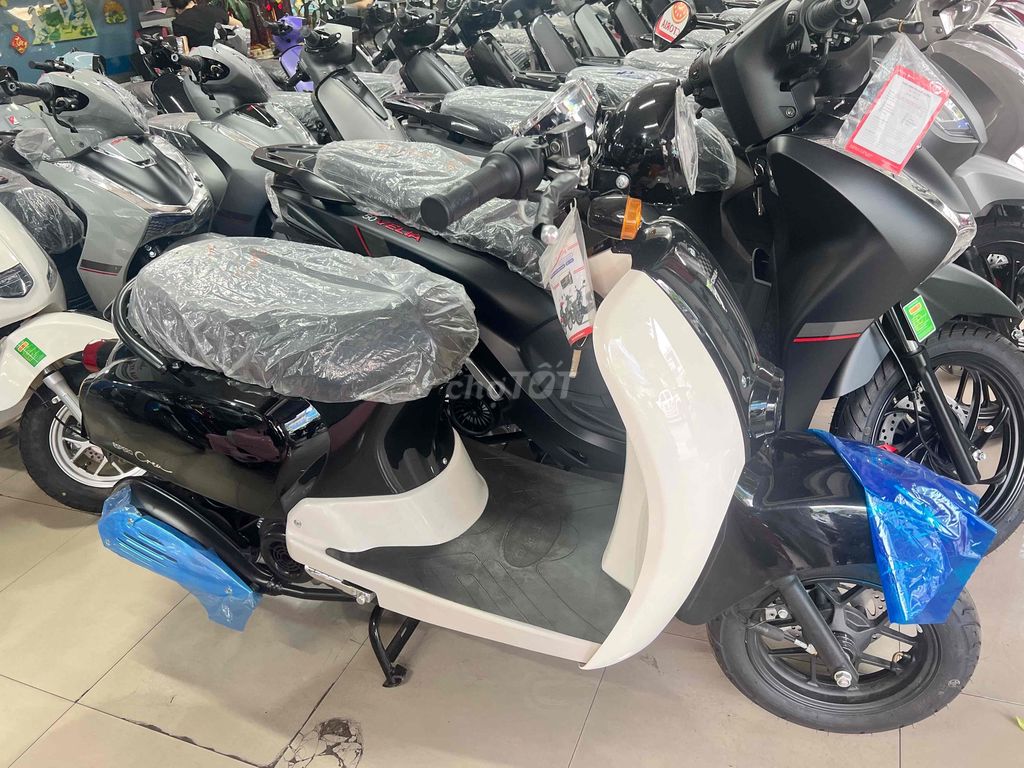 Bán xe 2026 - ảnh 2