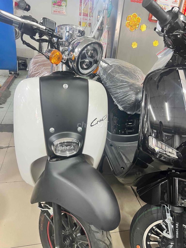 Bán xe 2026 - ảnh 3