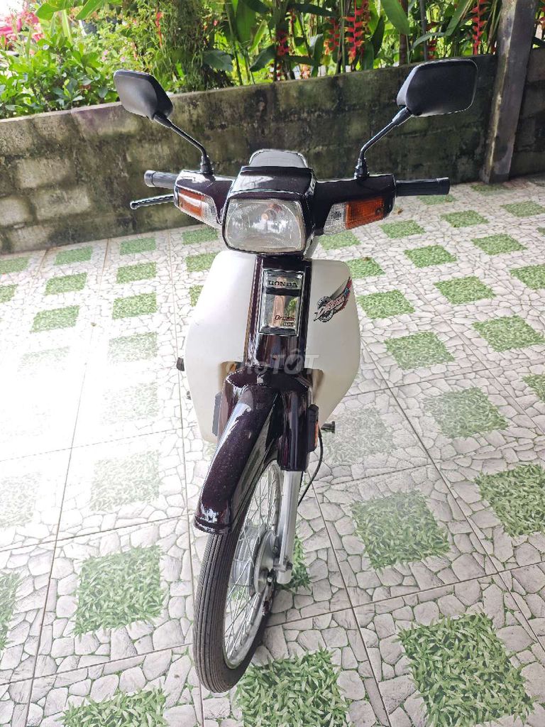 Honda Dream 2010 - ảnh 1