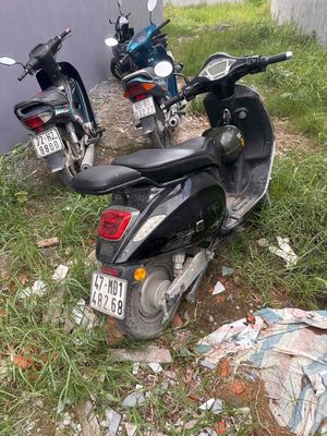 Xe m 2022 - ảnh 1