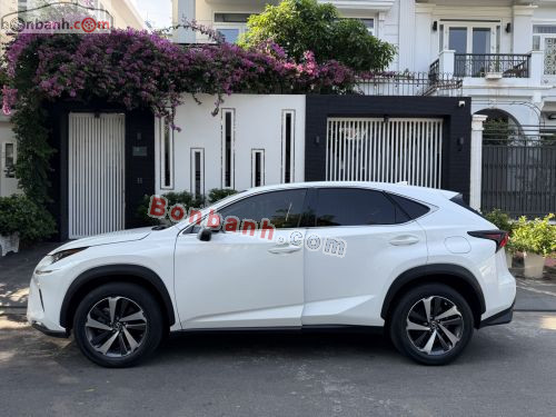 Lexus NX 300 2017 - ảnh 1