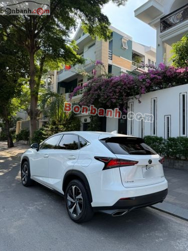 Lexus NX 300 2017 - ảnh 2