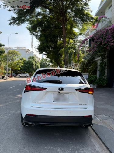 Lexus NX 300 2017 - ảnh 3