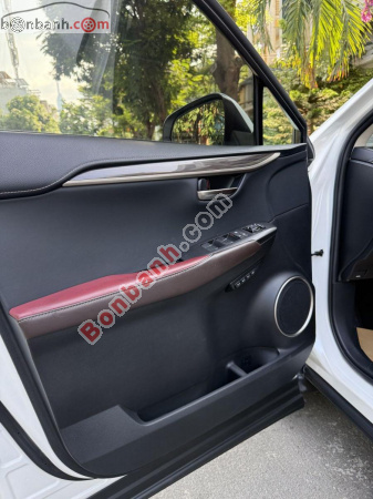Lexus NX 300 2017 - ảnh 4