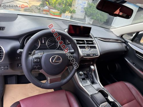 Lexus NX 300 2017 - ảnh 5