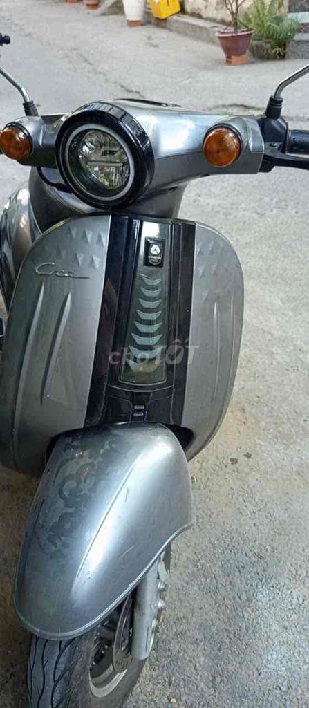 Xe m 2024 - ảnh 2