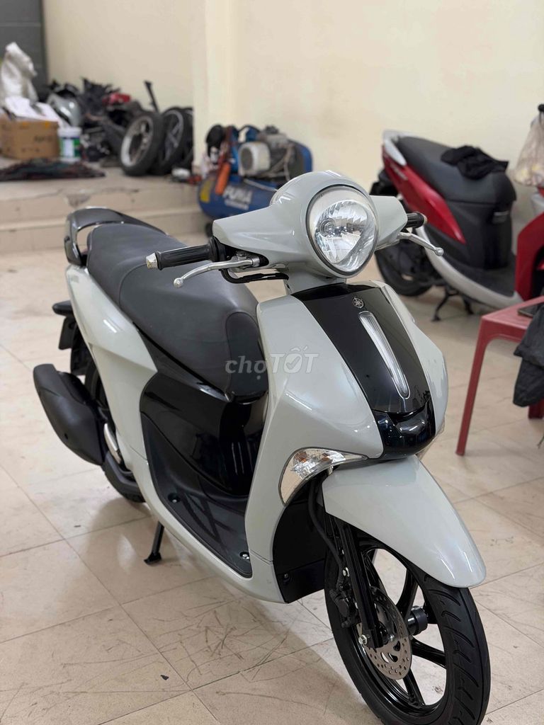 Yamaha Janus 2018 - ảnh 3