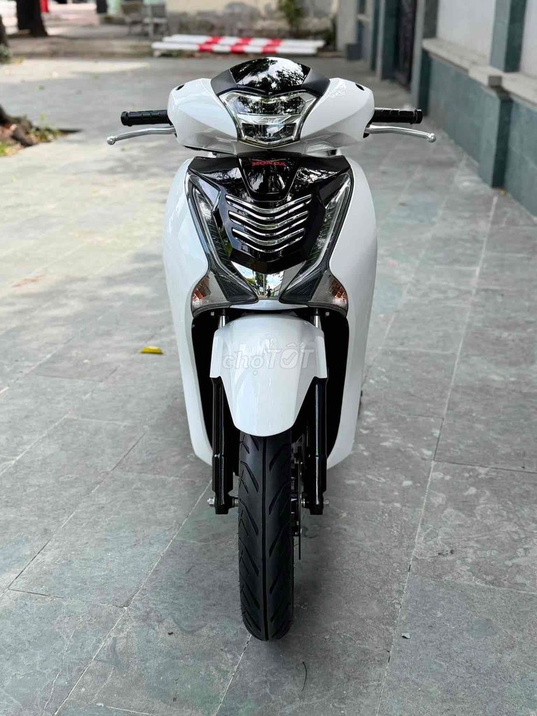 SH 2019 - ảnh 1