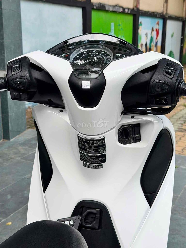 SH 2019 - ảnh 5