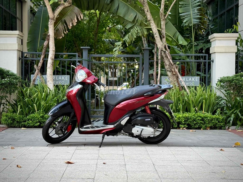 Honda SH 2019 - ảnh 2