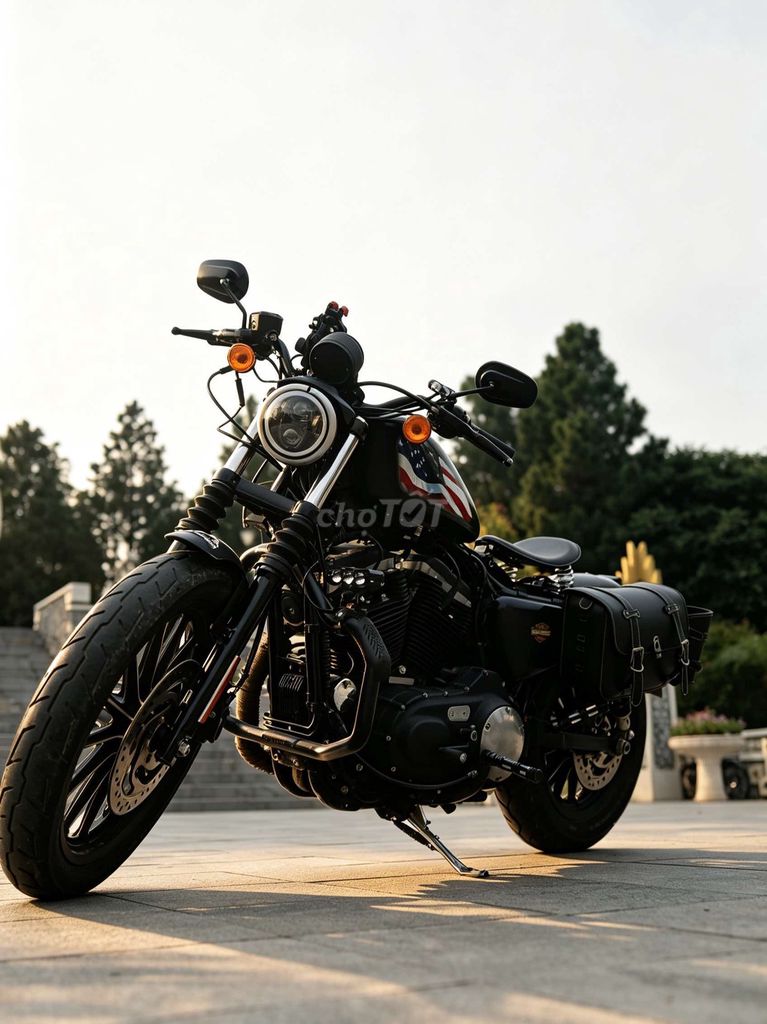 Harley 2017 - ảnh 2