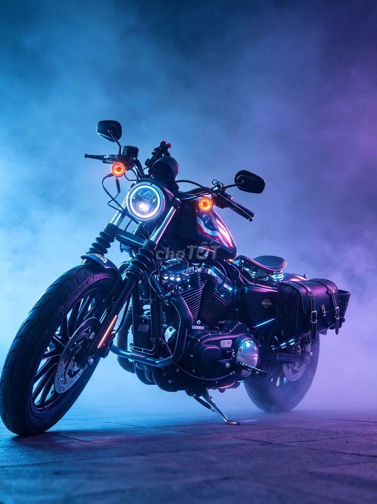Harley 2017 - ảnh 3
