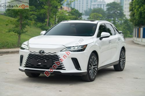 Lexus RX 350 Premium 2024 - ảnh 3