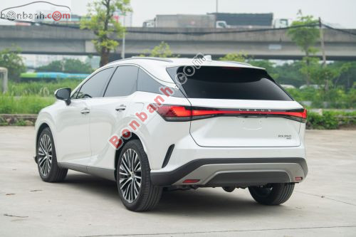 Lexus RX 350 Premium 2024 - ảnh 4