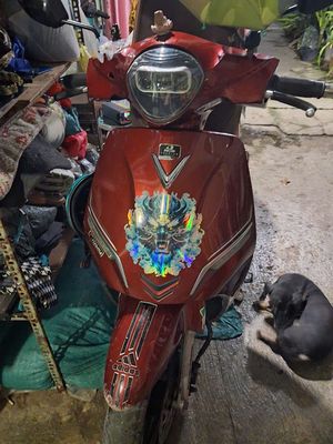Xe m 2022 - ảnh 1