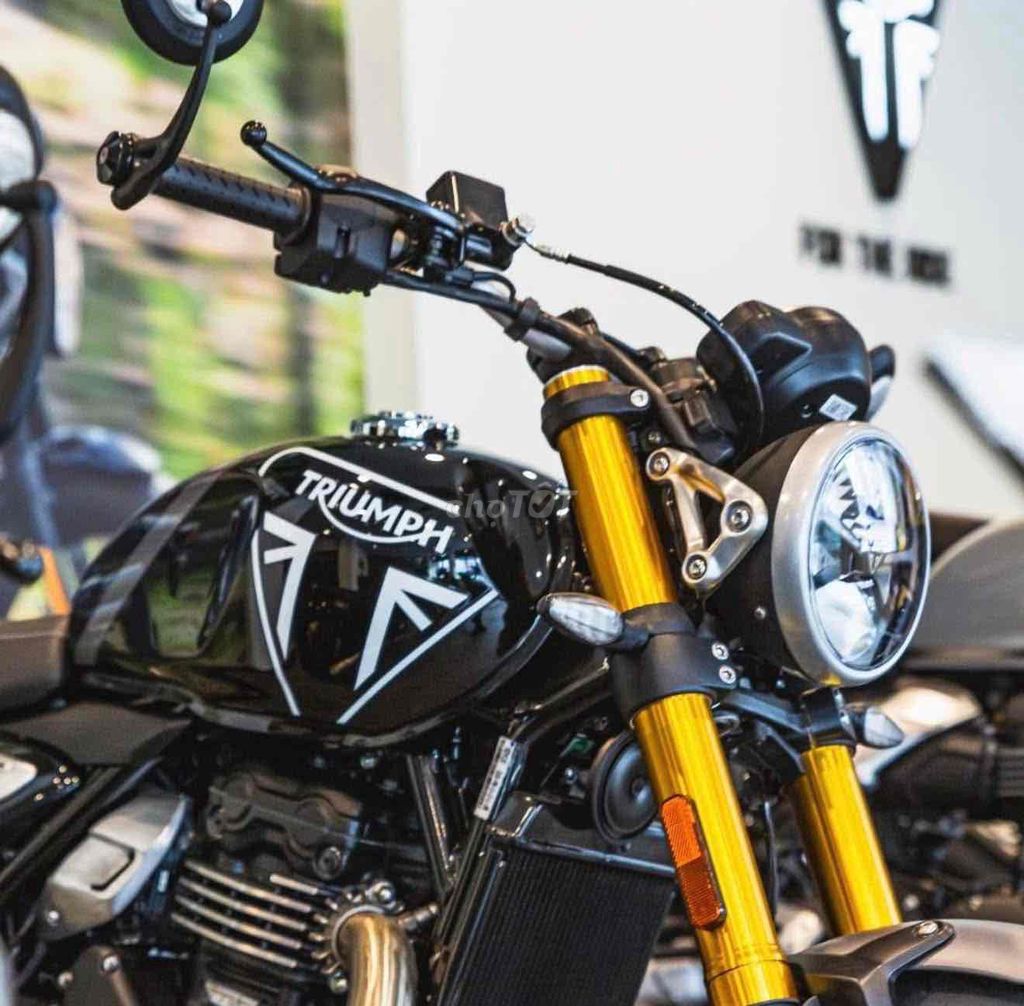 Triumph Speed 2025 - ảnh 2