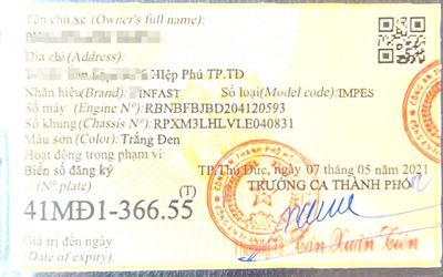 Vinfast Impes 2021 - ảnh 1