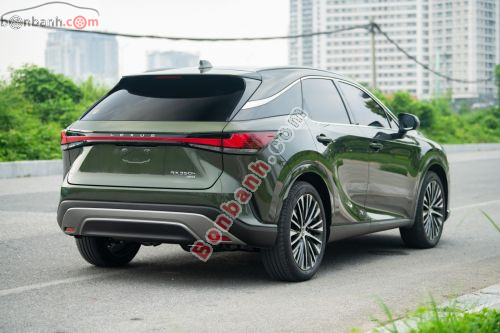 Lexus RX 350h Premium 2025 - ảnh 5