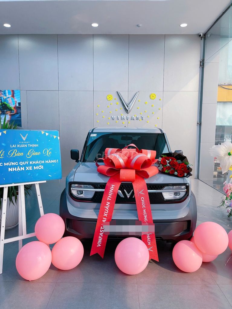 VinFast VF3 - ảnh 1